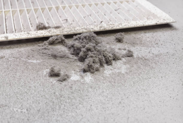 Best Ductwork Cleaning Services  in Lynn Haven, FL
