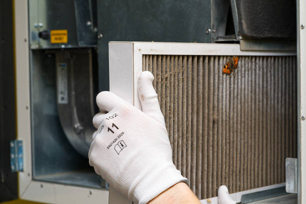 Best Air Duct Inspection  in Lynn Haven, FL